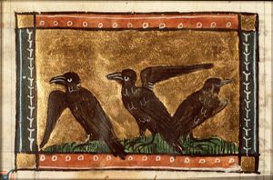 Sturmis (starling)