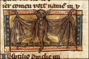 Vespertilio (bat)