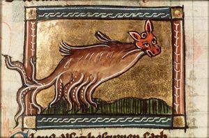 Eleus (sea-calf)