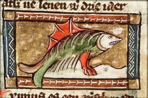 Thunius (tunny fish)