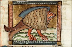 Tortuca (turtle)