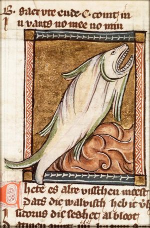 Cethe (whale)