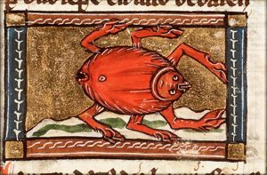 Cancer (lobster)