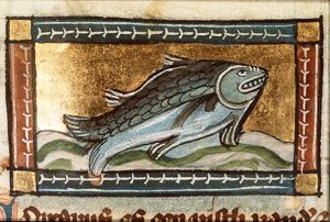 Congrus (sea-eel)