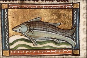 Carpeta (carp)