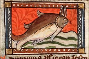 Capitonius (sea-hare)