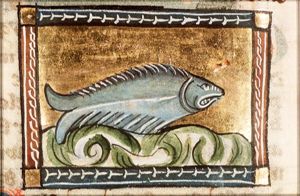 Delfine (dolphin)