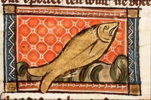Esox (kind of pike)