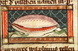 Purpuree (shellfish yielding a purple dye)