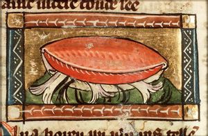 Pina (bivalve shellfish)