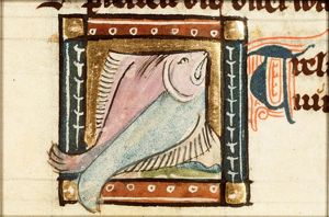 Trelinus
