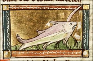Vipera (sea-serpent)