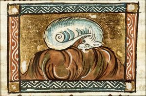 Aspis (kind of snake)