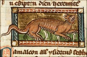Cameleon (chameleon)