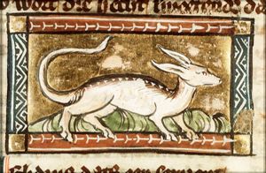 Chelidrus (kind of snake)