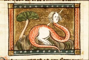 Draconcopes