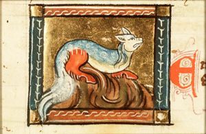 Emorois (kind of snake)