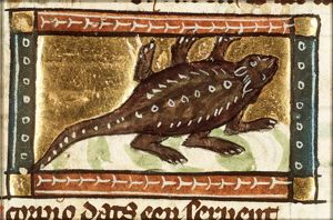 Scorpio (scorpion)
