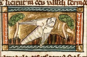 Cancendula (firefly)