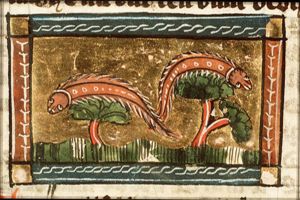 Eruca (caterpillar)