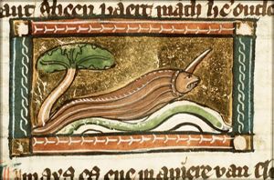 Limax (snail)