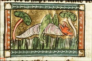 Locusta (grasshopper)
