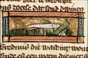 Teredinis (woodworm)