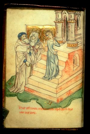 Dedication of Mary in the temple: she ascends the steps