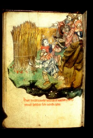 Flight into Egypt: the miracle of the quick-growing corn