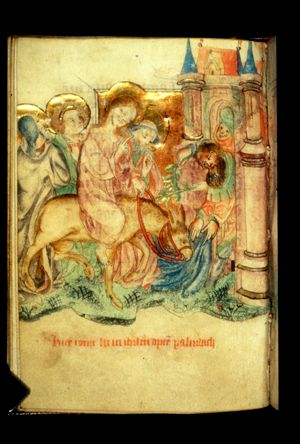 Entry into Jerusalem