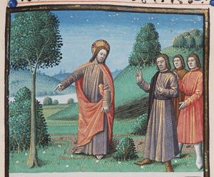 Christ explaining the doctrine on God's providence pointing to the field (1st of 2)