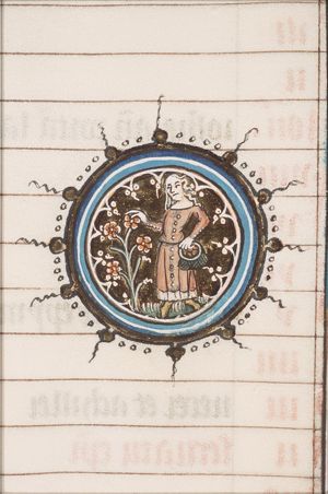 June: woman gathering flowers