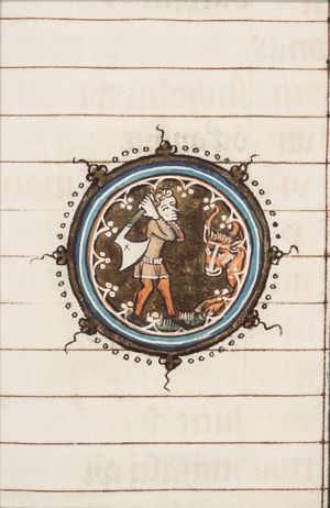 November: man slaughtering an ox