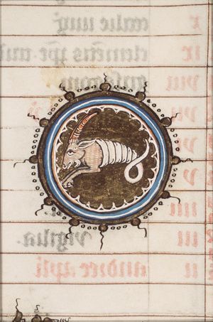 December: Capricorn