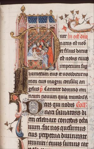 The circumcision of the Christ-child in the temple by a priest