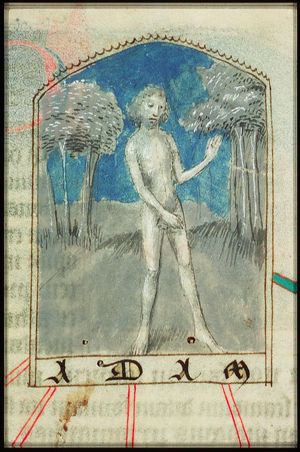 Adam
