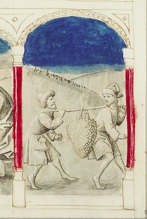 The spies return from Canaan carrying a large bunch of grapes (3rd of 3)