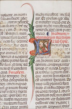 Two martyrs