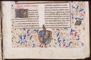 Coat of arms [fol. 1r of the modern (Arab) foliation]