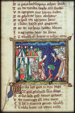 The gathering of manna and quails