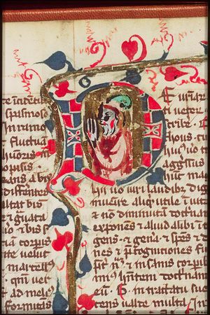 Human figure (physician?)