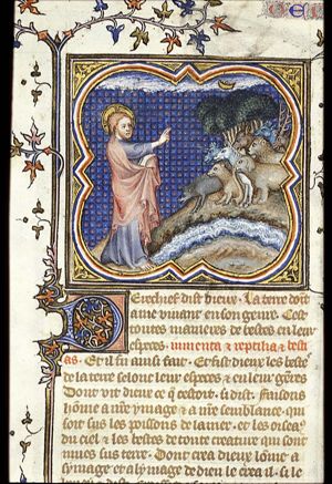 The Creation: beasts of the field