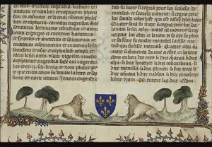 Coat of arms: two lions lying next to a shield with fleur-de-lis
