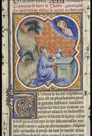 Tobit's offerings