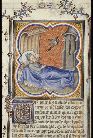 Tobit is blinded by a swallow's dropping