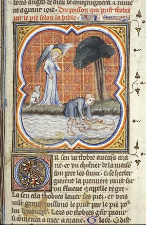 A large fish appears while Tobias is washing his feet, and bites his foot; he is frightened