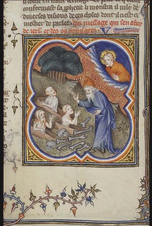 Ezekiel's vision of the valley of the dry bones