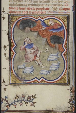 Joel the shepherd
