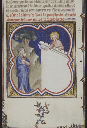 Amos' vision of the Lord standing on the wall, holding a trowel (not a plumbline)