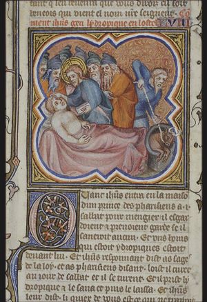 Christ healing a man with dropsy; pulling the ox out of the pit on Sabbath